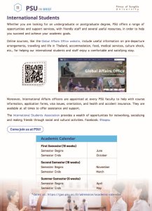 psu in brief 2025_page_13